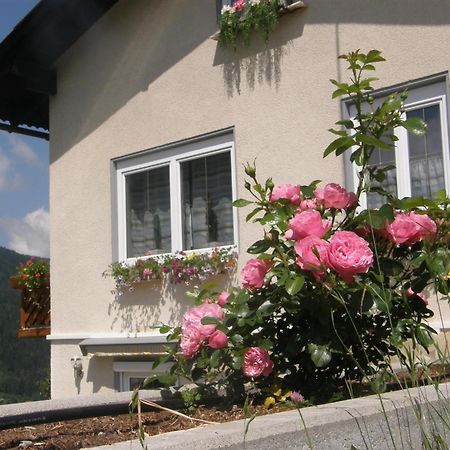 Brennseeblick Feld am See Exterior foto
